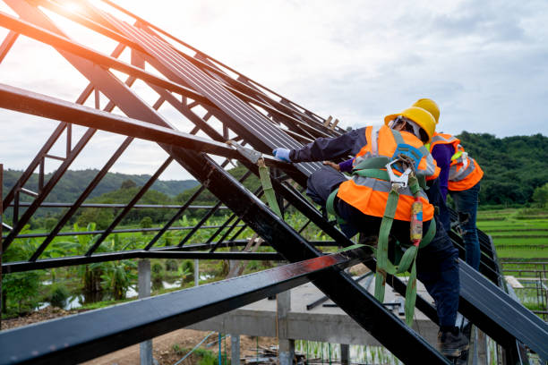 Best Roof Leak Repair  in Shepherd, MI