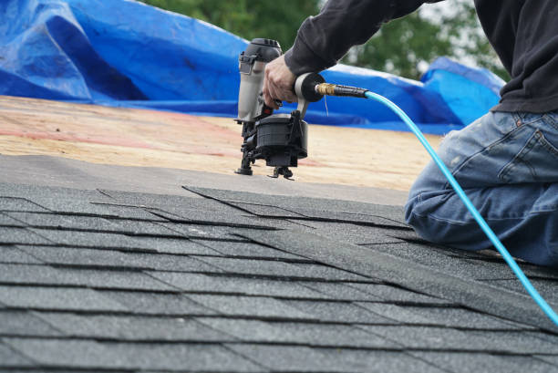 Best Roof Gutter Cleaning  in Shepherd, MI