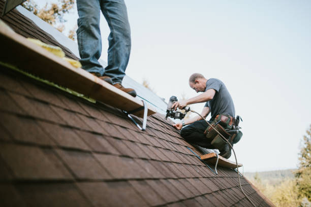 Quick and Trustworthy Emergency Roof Repair Services in Shepherd, MI